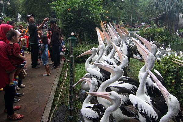 Kebun Binatang Ragunan, Tempat Wisata Edukasi Hewan Di Jakarta